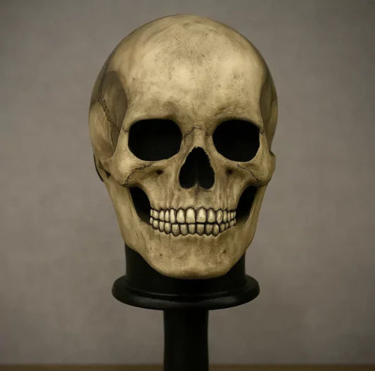 CALAVERA MASK – DISEÑO HIPERREALISTA w.05218
