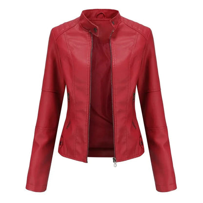 AMERICANA DE PIEL ROUSTER n.60929