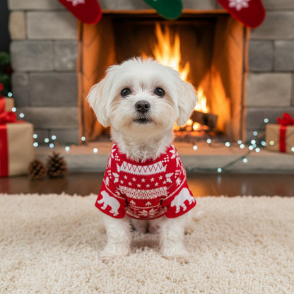 SET PIJAMA NAVIDEÑO SPECIAL EDITION